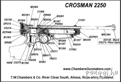 Crosman 2250b